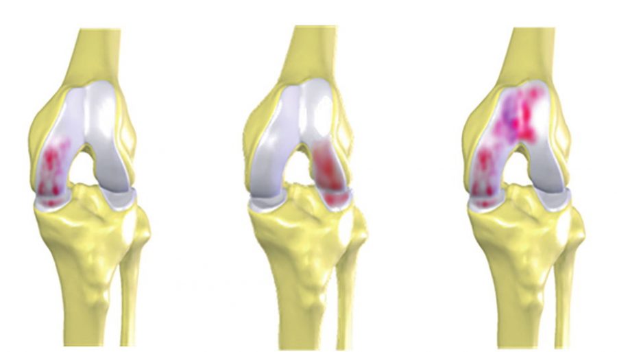 y aktuel 2017 02 subat 6106 900x513 1