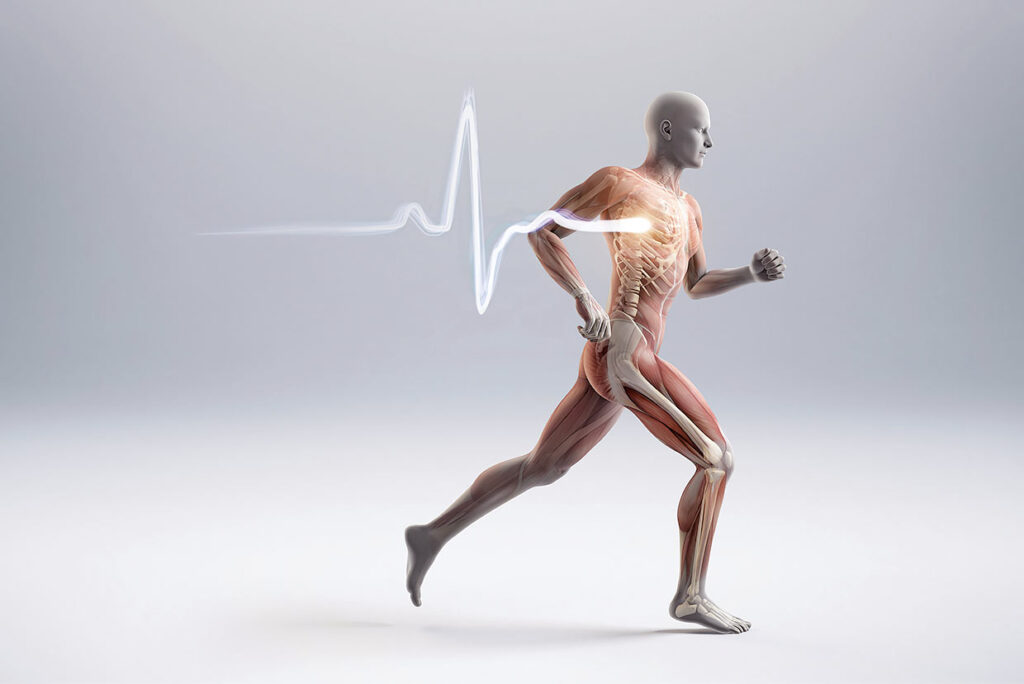 exercise bone density 2x